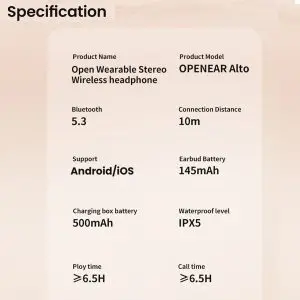 P6 Open Ear Earbuds